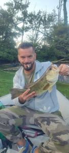Largemouth Bass