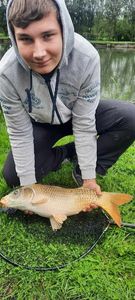 Koï Fish