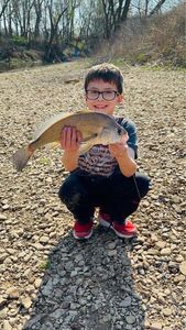 Freshwater Drum