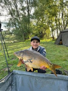 Mirror Carp