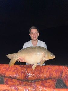 Mirror Carp