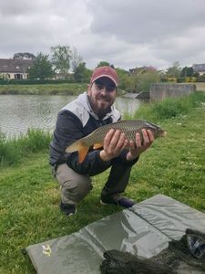 Common Carp