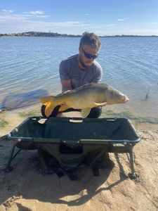 Mirror Carp