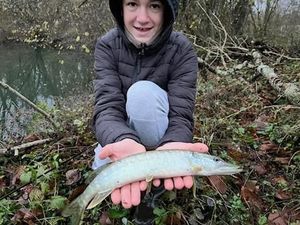 Northern Pike