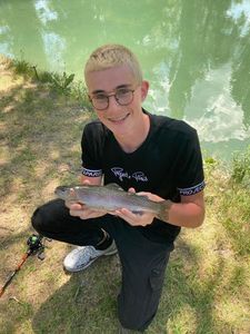 Rainbow Trout