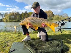 Common Carp