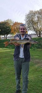 Northern Pike
