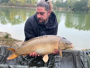 Mirror Carp