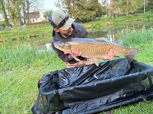 Grass Carp