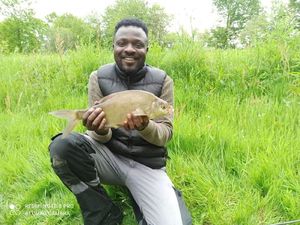 Common Bream