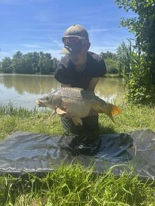 Mirror Carp