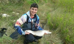 Northern Pike