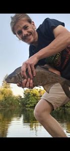 Common Bream
