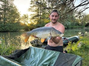 Mirror Carp