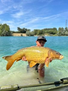 Common Carp