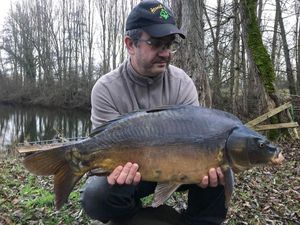 Mirror Carp