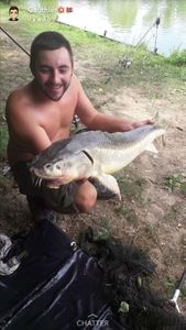 Sturgeon
