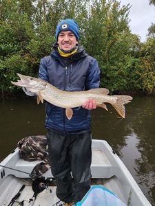Northern Pike