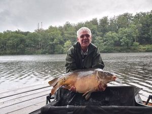 Mirror Carp