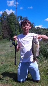 Largemouth Bass