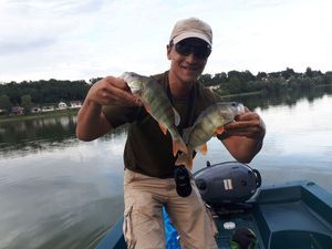 European Perch