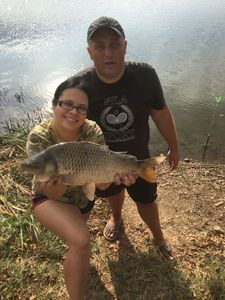 Common Carp