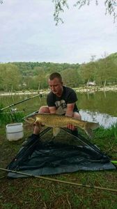 Grass Carp