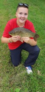 Crucian Carp