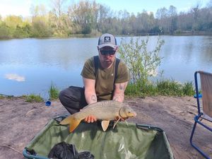 Common Carp