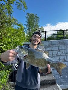 Smallmouth Bass