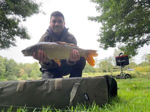 Common Carp