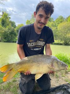 Mirror Carp