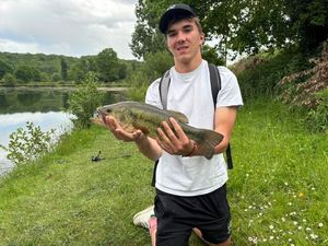 Largemouth Bass