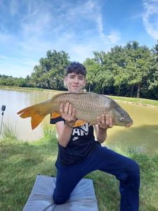 Common Carp