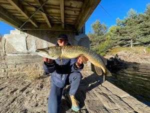 Northern Pike