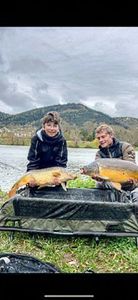 Common Carp