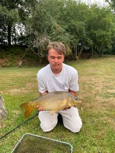 Mirror Carp