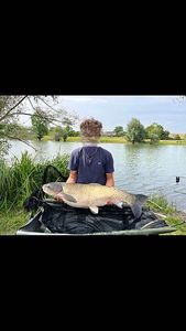 Grass Carp