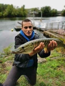 Northern Pike
