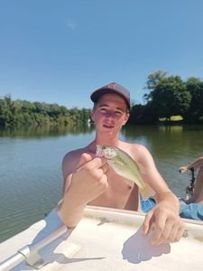 Largemouth Bass