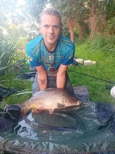 Common Carp