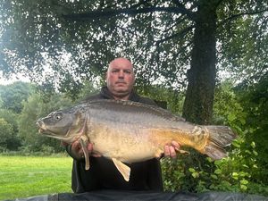 Mirror Carp