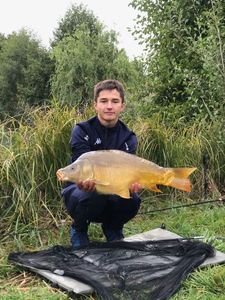 Mirror Carp