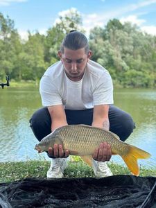 Common Carp