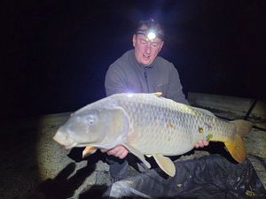 Mirror Carp