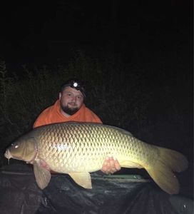 Common Carp