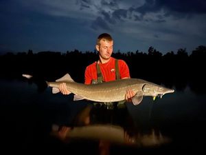 Sturgeon