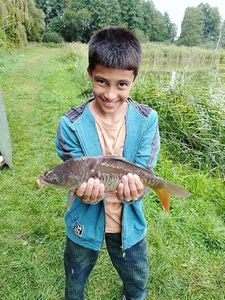 Mirror Carp