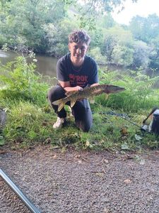 Northern Pike