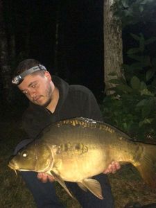 Mirror Carp